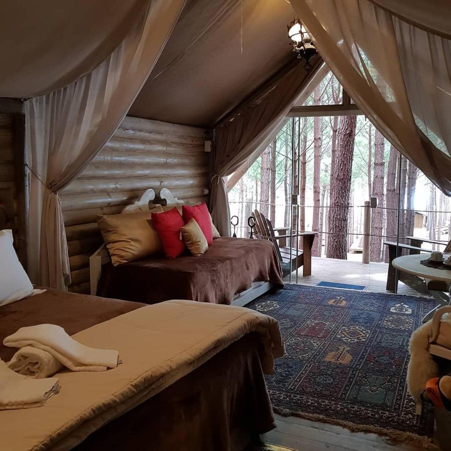 Barraca de Camping Glamping Luxo