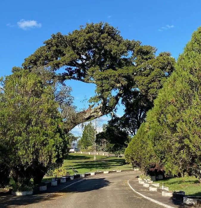 Sitio Das Figueiras-1