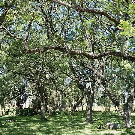Estancia Timbauva-3