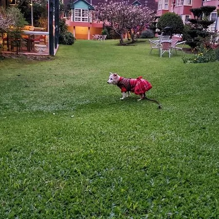 Sossego E Aconchego Perto De Tudo-3