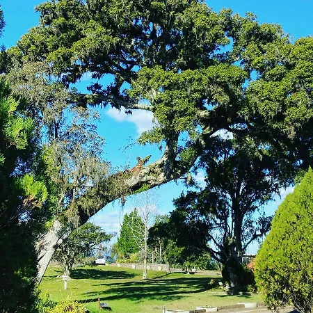 Sitio Das Figueiras-3