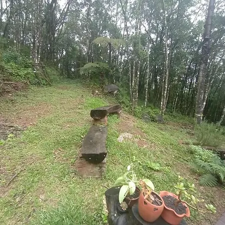 Sitio Vale Dourado-3
