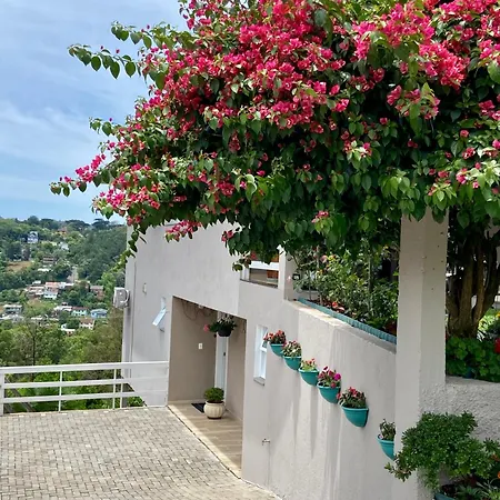 Casa Zanata-3